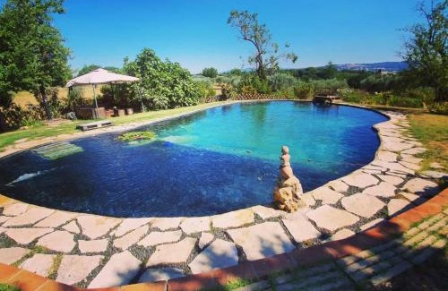 Bibbona Apartment | Agriturismo Il Poderino