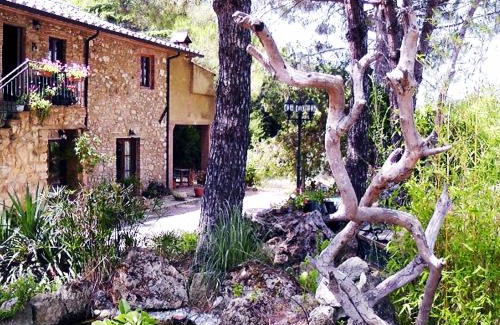 Bibbona Apartment | Agriturismo Il Poderino
