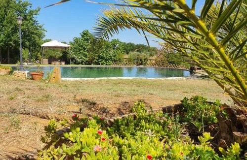 Bibbona Apartment | Agriturismo Il Poderino