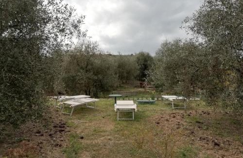 Santo Stefano al Mare House | Agriturismo Green House