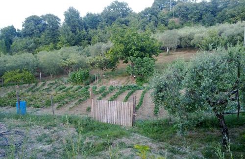 Felitto House | Agriturismo le Cammarose
