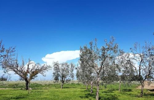 Orta Nova House | Agriturismo Masseria Mascitelli