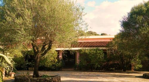 Dorgali House | Agriturismo Muristene