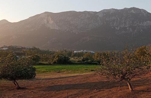 Loculi House | Agriturismo Neunele