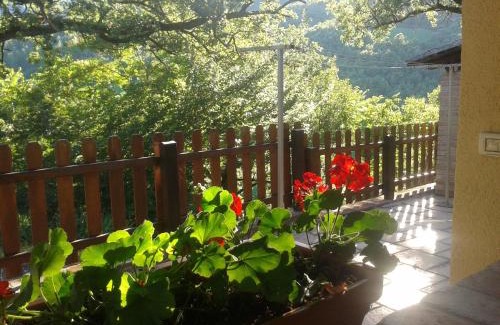 Urbania House | Agriturismo Orsaiola