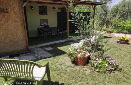 Follonica House | Agriturismo Poggio all'Olivo