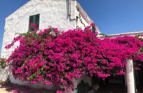 Ferreries House | Agroturisme Binisaid NOU