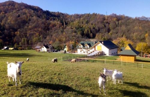 Polany House | Agroturystyka Królowo