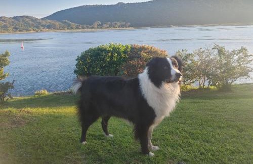 Sedgefield House | Akkerhuys Guest House & Tours