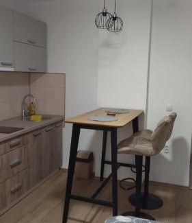 Soko Banja Apartment | Alđo