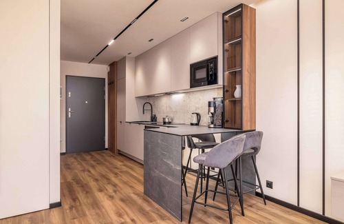Tychy Apartment | Al. Bielska 129 Tychy | Air Conditioned Studio with Parking and Mountain View