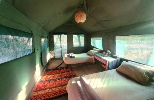 Maun Other | Al's Camp