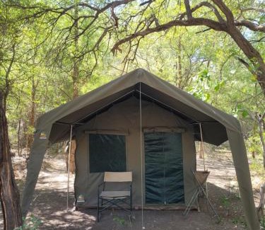 Maun Other | Al's Camp
