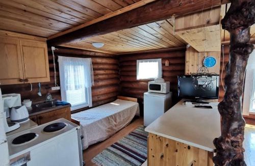 Pudasjarvi Ski Chalet | Alapin mökki