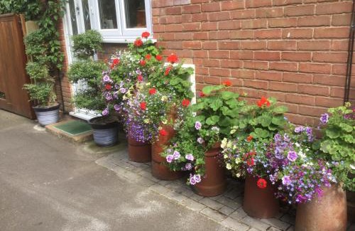 New Forest District Bed & Breakfast | Albertine ,A warm welcome awaits you ,Offering room only or bed and breakfast ,Ideal location for Solent Way ,High Street ,Isle of Wight ,New Forest