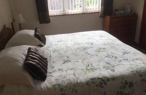 New Forest District Bed & Breakfast | Albertine ,A warm welcome awaits you ,Offering room only or bed and breakfast ,Ideal location for Solent Way ,High Street ,Isle of Wight ,New Forest