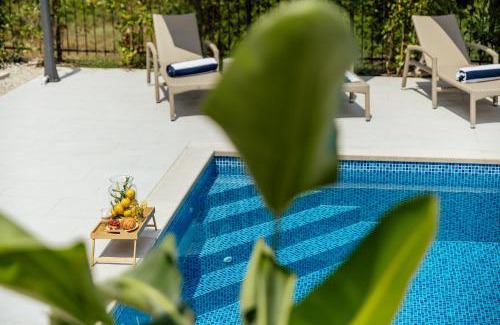 Herceg Novi Apartment | Albizia