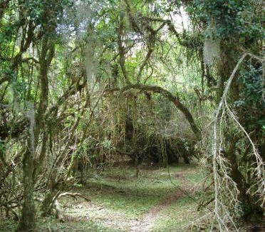Tavares House | Aldeia Santuario das Aves