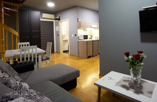 Zemun Apartment | Aleksei apartments