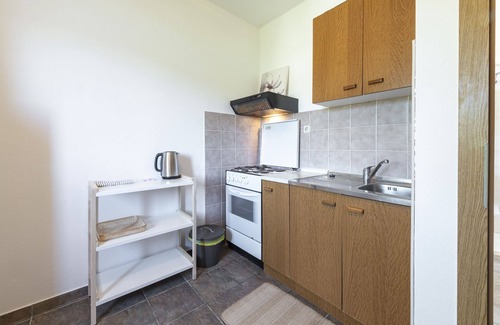 Dubrava Apartment | Alenka 4- Beachfront apartment,direct beach access