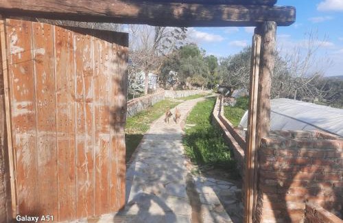 Selcuk Other | Ali dede kamp karavan bungalow