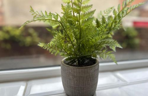 South Shields Apartment | Alice Apartment