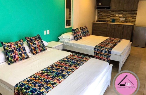 San Andres Cabin | Alife Harmony