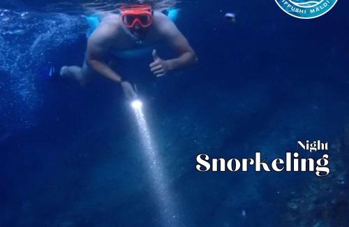 Dhiffushi Hotel | All Inclusive Stays by Excited Tours - Dhiffushi