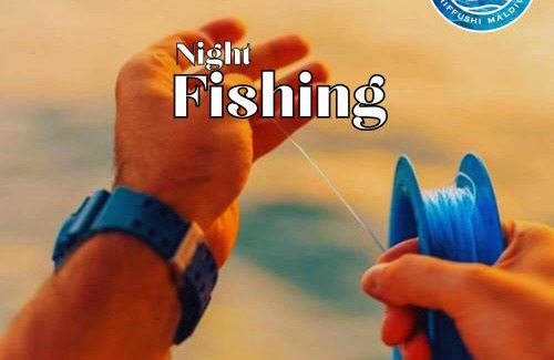 Dhiffushi Hotel | All Inclusive Stays by Excited Tours - Dhiffushi