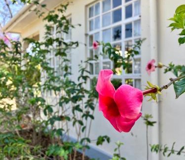 Arusha Bed & Breakfast | Allamanda House Meru