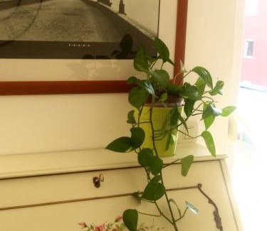 Zambratija Apartment | Allegria