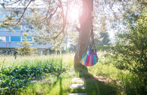 Einsiedeln Hostel | Allegro Alpin Lodge