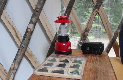 Brownfield RV Rental | Allie Mae Yurt nestled in the woods