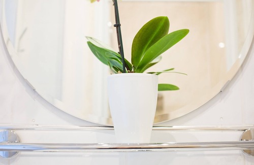 Newington House | Allison House 17