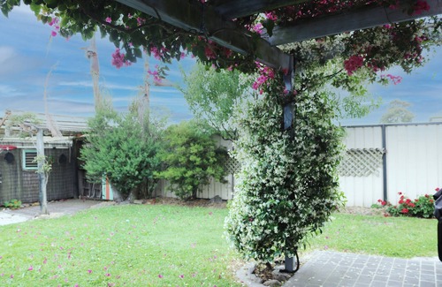 Eden Apartment | Alloway - 2 Bedroom Pet friendly with a fully fenced and secure yard.