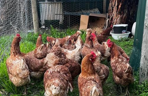 Yankalilla House | Allusion Farmstay and Vineyard Units