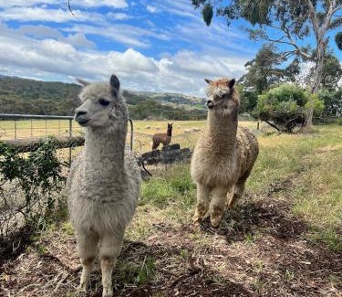 Yankalilla House | Allusion Farmstay and Vineyard Units