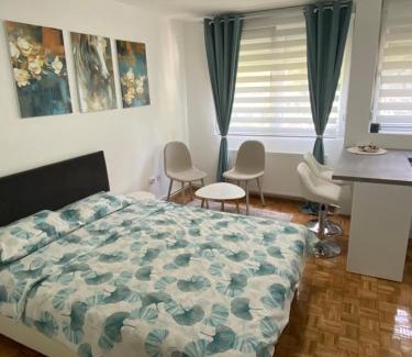 Kragujevac Apartment | Alman apartman