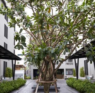 Suan Luang Hotel | Almas Hotel Bangkok