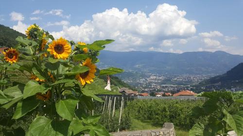 Lagundo Apartment | Almbergerhof