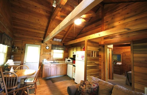 Hico Cabin | Almost Heaven 1BR Cabin: Romantic Retreat with Hot Tub