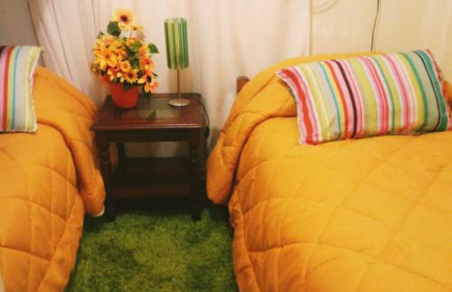 Chillan House | Alojamiento en Chillán 1