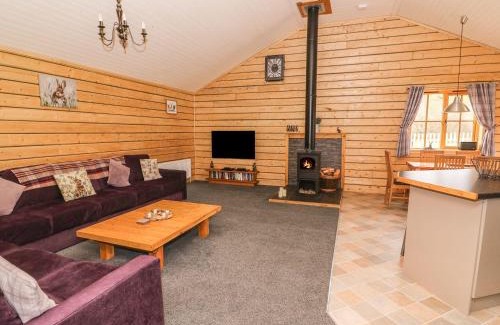Llanbrynmair Ski Chalet | Alpaca cabin-mountain view-hot tub-rural retreat