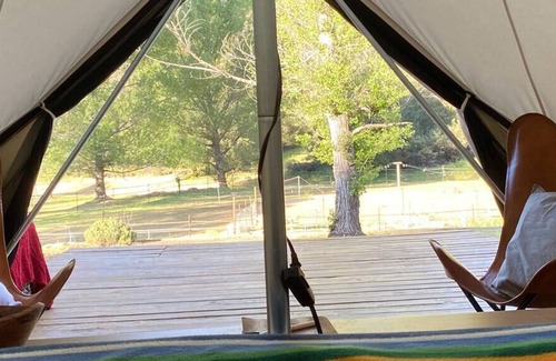 Descanso RV Rental | Alpaca Farm Glamping Tent