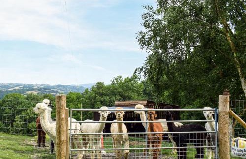 Newtown House | Alpaca Hideaway - Uk35188