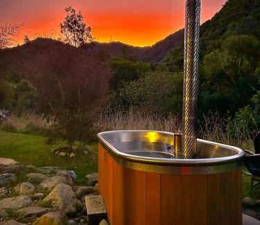 Upper Takaka Other | Alpacas Off Grid - House Truck