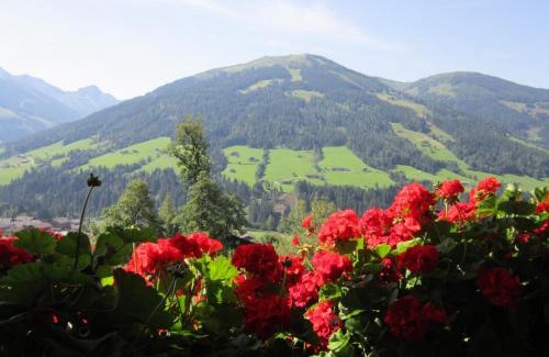 Alpbach Apartment | Alpbachblick