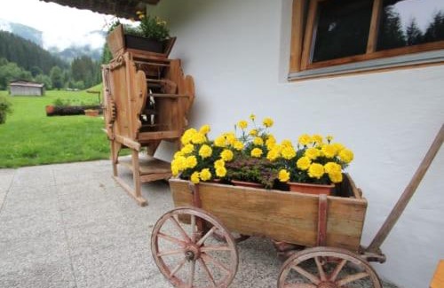 Wildschoenau Apartment | Alpboden