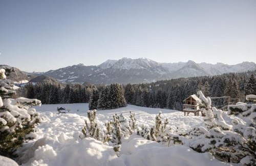 Oberstdorf Hotel | Alpe Dornach