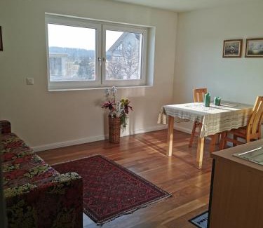 Oberbuchsiten House | Alpenblick Ferienwohnung und Monteurzimmer